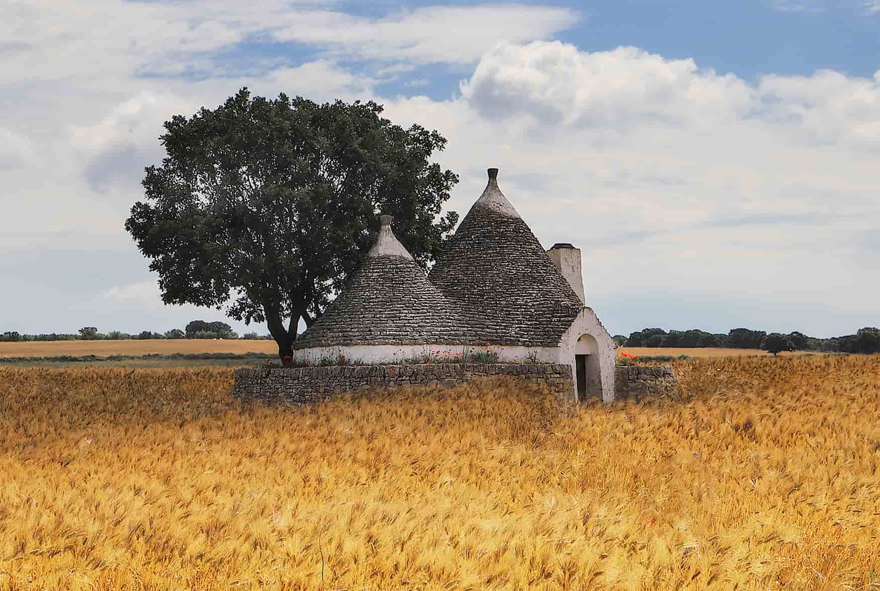 un trullo in un campo di grano