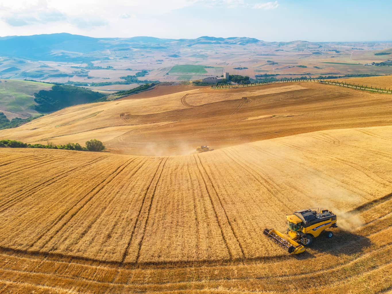 una collina coltivata 