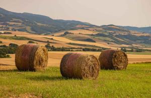 delle balle di fieno in una valle