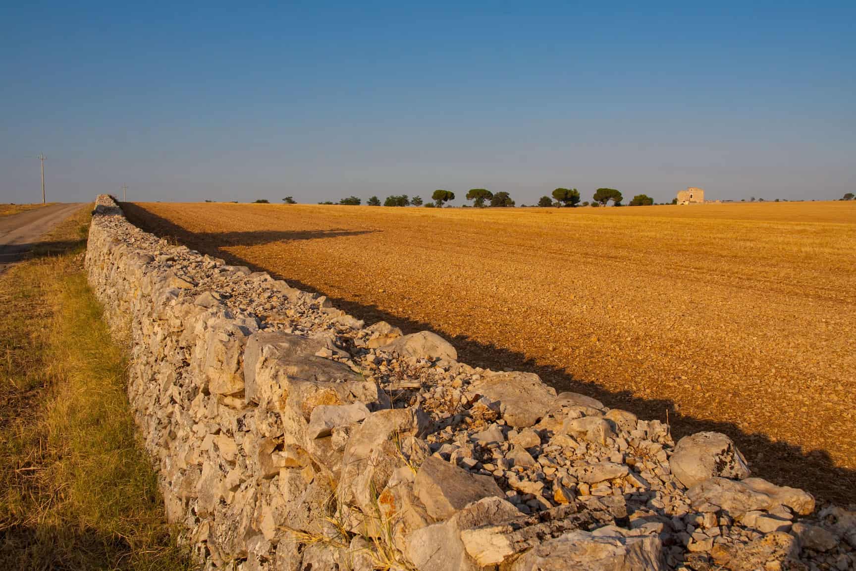 un muro a secco in un campo coltivato