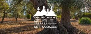Anteprima Integrazione portale CSR 2023-2027 e app Pugliaxte