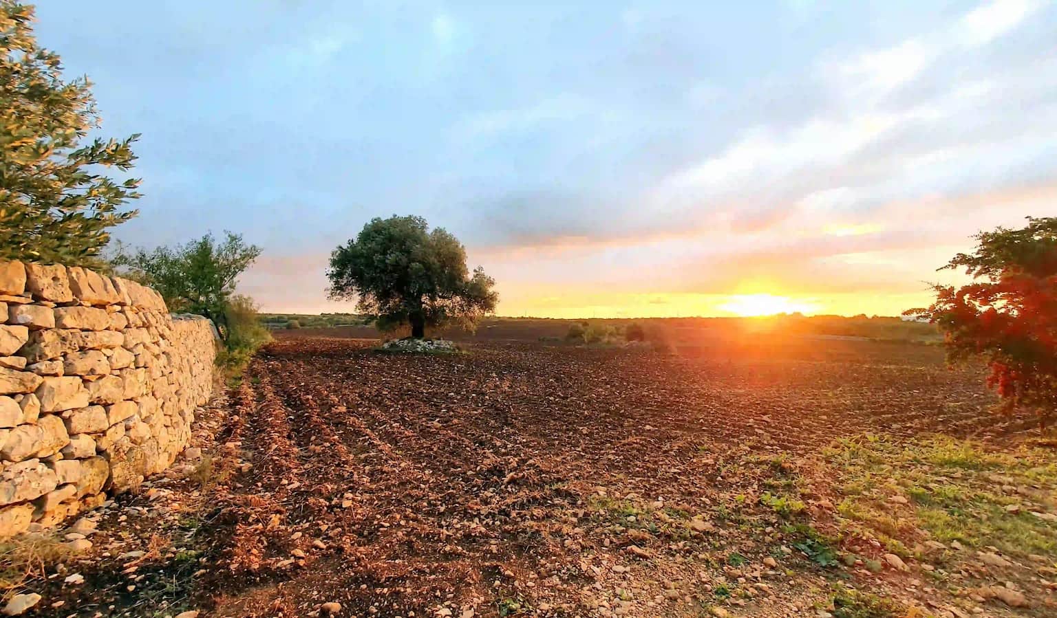 Fabio Zita - II Concorso 'Fotogrammi della puglia rurale'