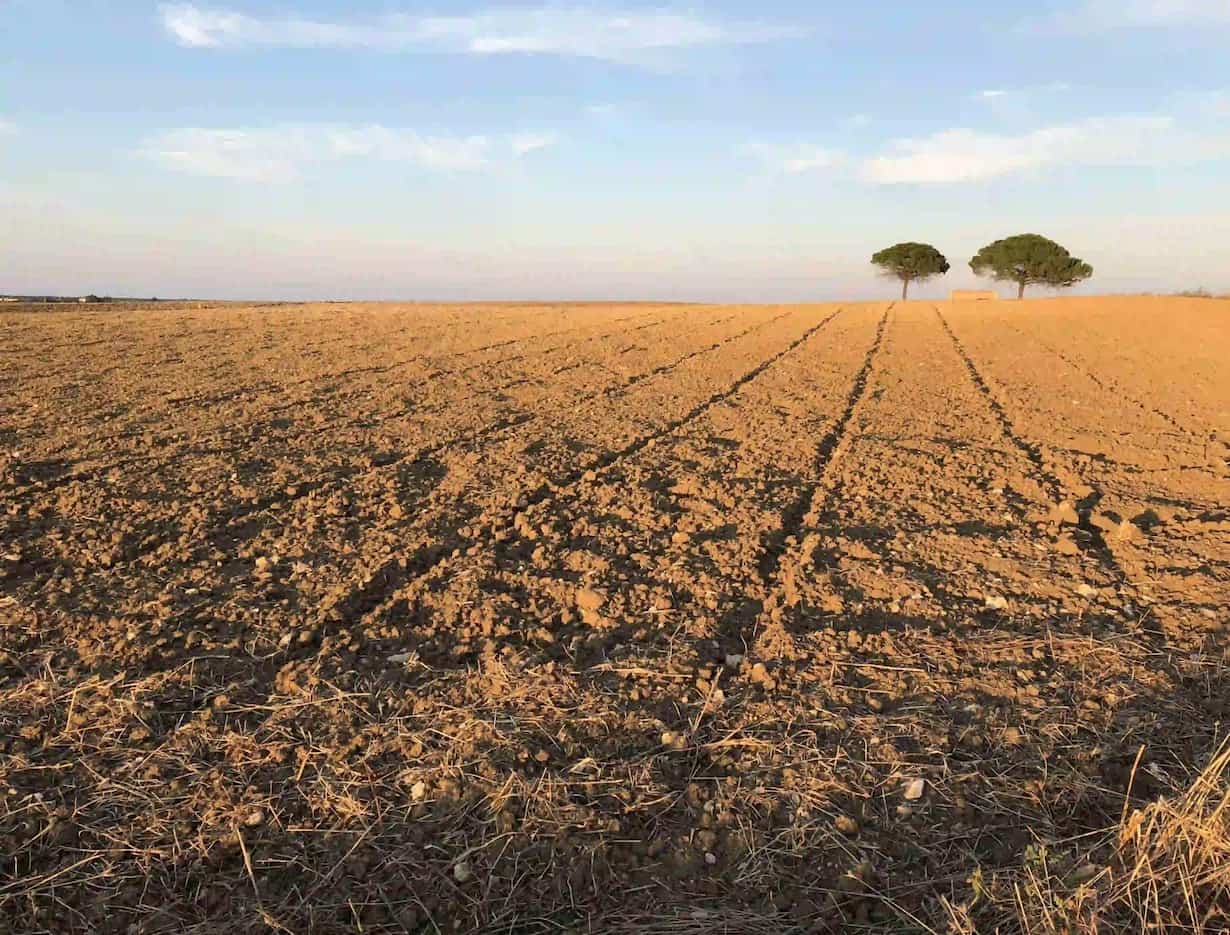 Cosima Funiati - II Concorso 'Fotogrammi della puglia rurale'