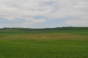 Anteprima Intervento SRA13: approvati gli elenchi delle domande ammissibili al sostegno, domande in corso di verifica, domande non ammissibili/oggetto di rinuncia e documentazione di verifica impegni annualità 2024