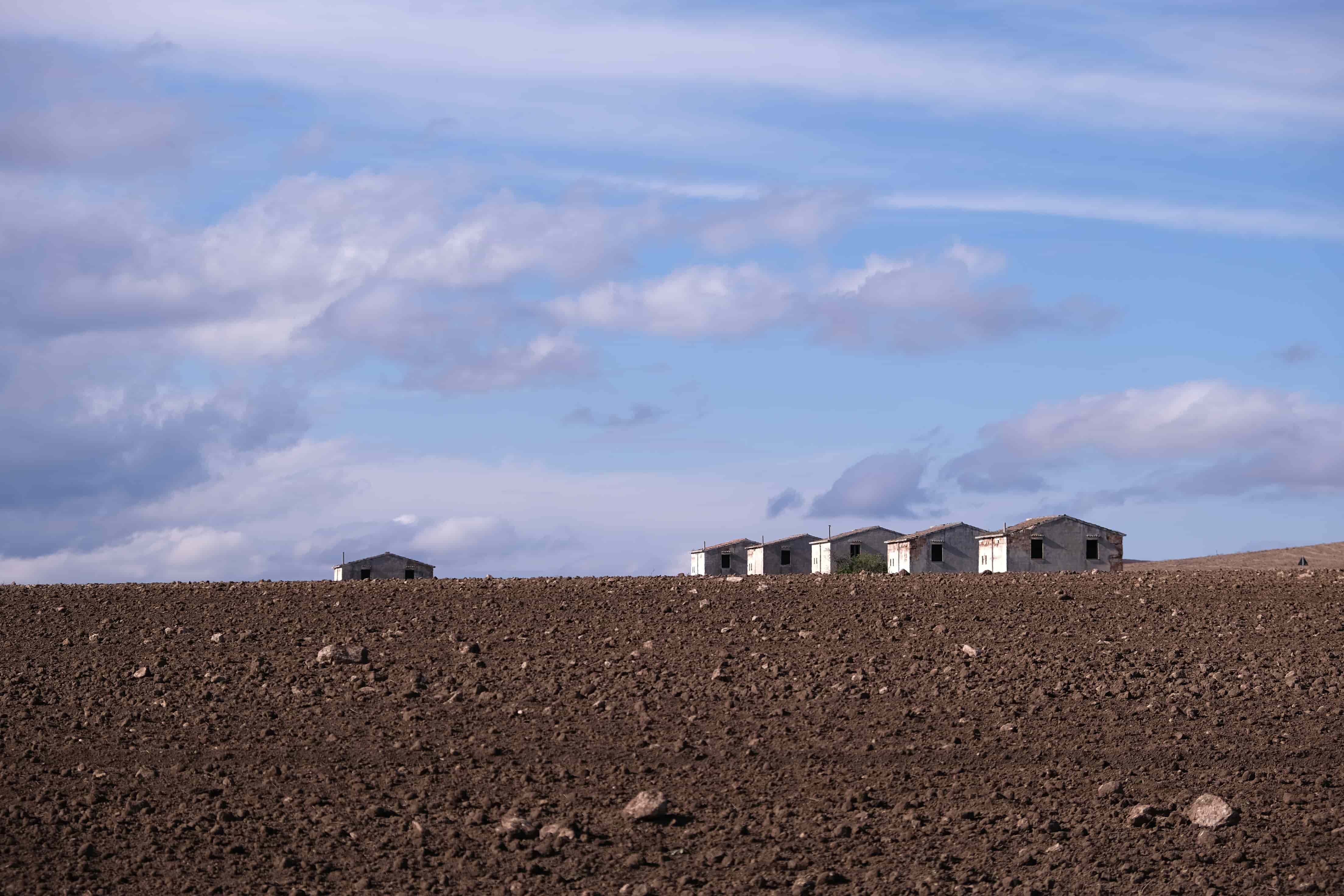 Paola Recchia - II Concorso 'Fotogrammi della puglia rurale'