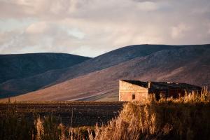 Anteprima Intervento SRD02: pubblicata sul BURP la DAG n. 1/2026 