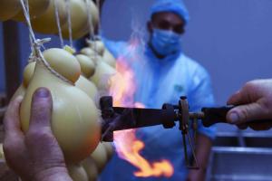 Anteprima SRD13: approvato l'Avviso pubblico per la presentazione delle domande di sostegno