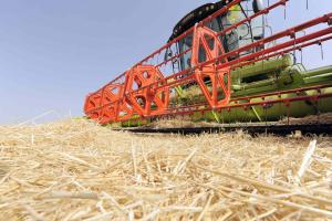 Anteprima SRD01.05 generalista: approvato l'Avviso pubblico per la presentazione delle domande di sostegno
