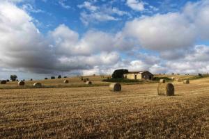 Anteprima Attuazione delle Strategie di Sviluppo Locale